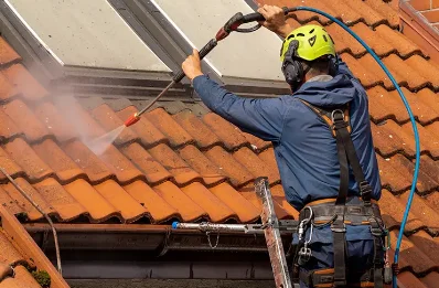 Démoussage et hydrofuge de toiture à Foussignac